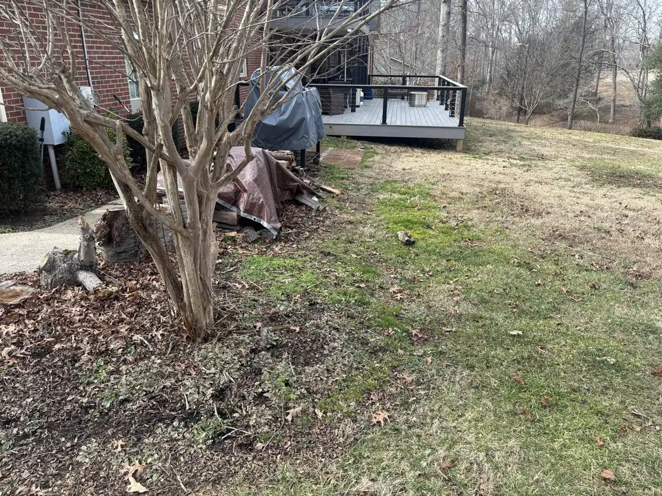 Back yard with patchy lawn beside a brick house and deck, before any work