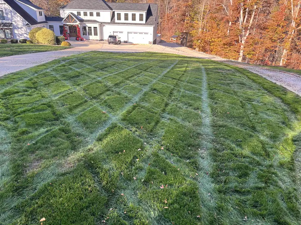 Crosscut mowing pattern on a lawn