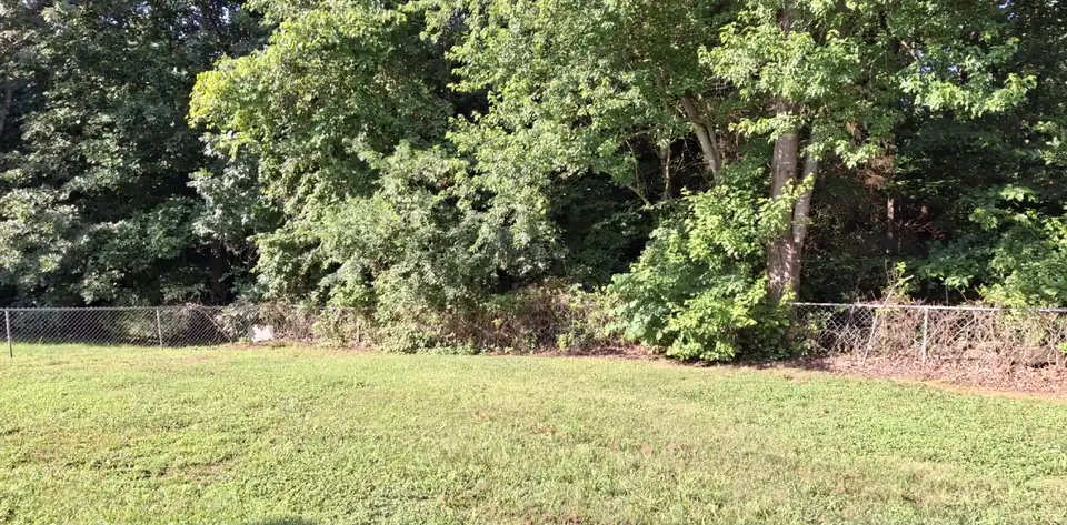 Before: An overgrown fence line cleared back to the chain link