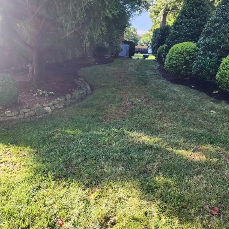 Before: grass where the path now runs