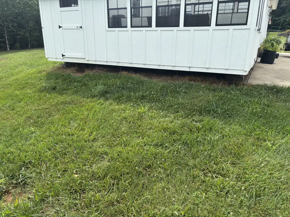 Lawn growing right up to the base of a white greenhouse