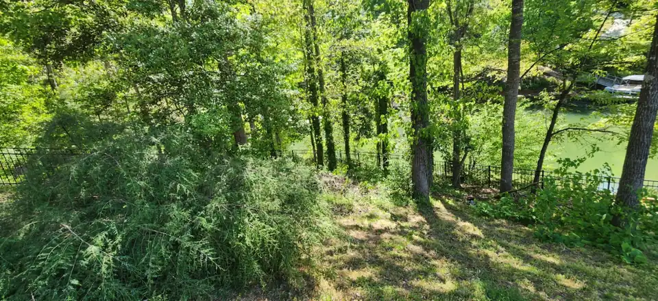 Before: An overgrown lakefront slope cleared back to the fence, raked out and edged, opening up the view of the water