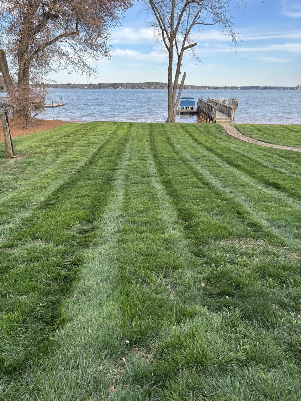Freshly cut lakefront lawn
