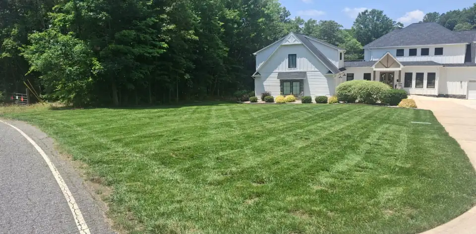 After: front lawn brought back