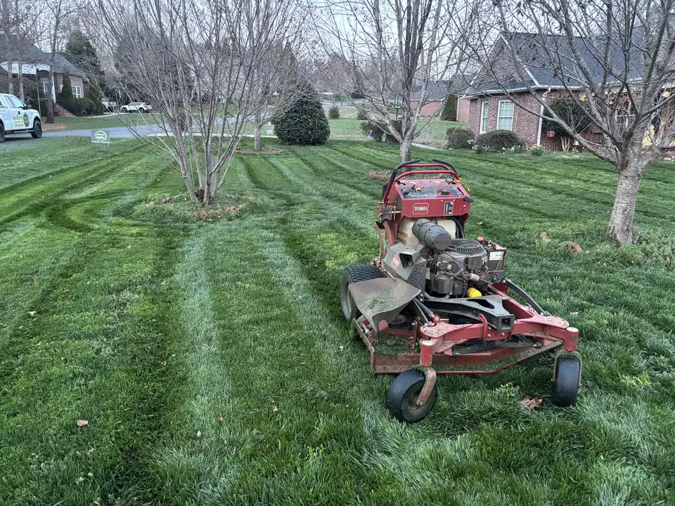Stand-on mower and fresh stripes