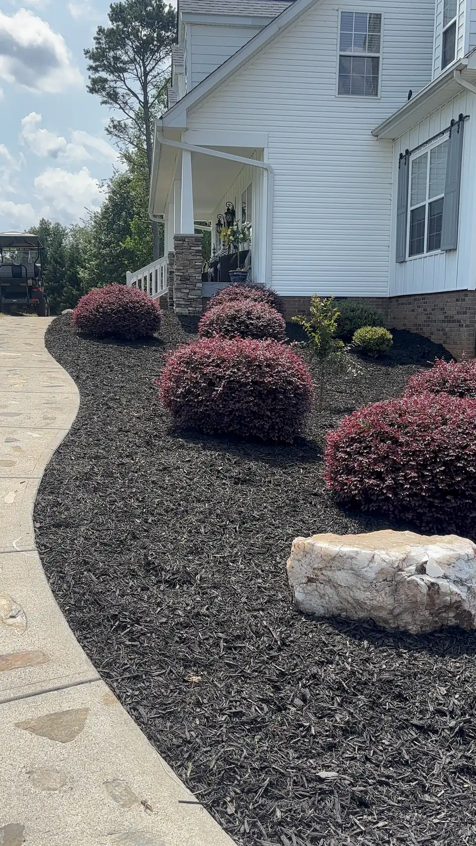 Curved mulch bed with red shrubs and a boulder beside a stamped walkway