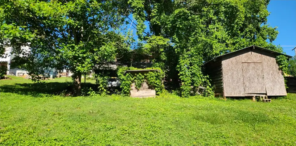 Before: Vines and brush cleared from around two old sheds