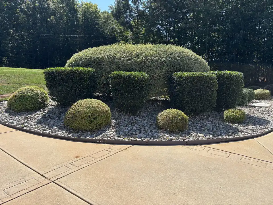 Island bed of shaped shrubs in river rock beside a concrete drive