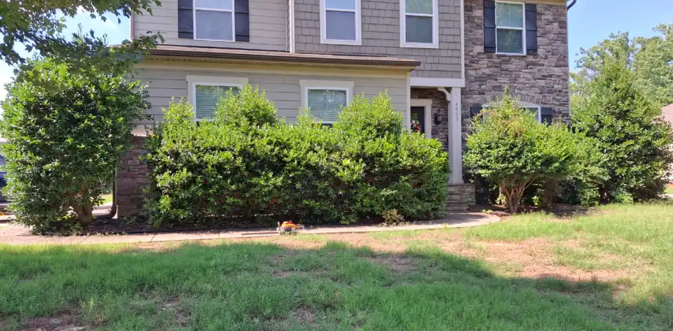 Before: Overgrown foundation shrubs cut back to shape