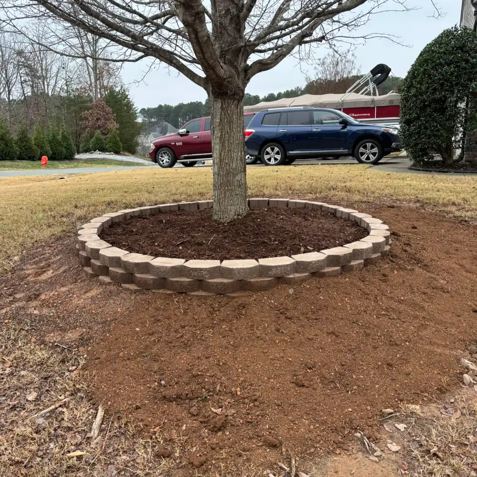 The same tree with a block ring and fresh mulch, and the ground around it graded