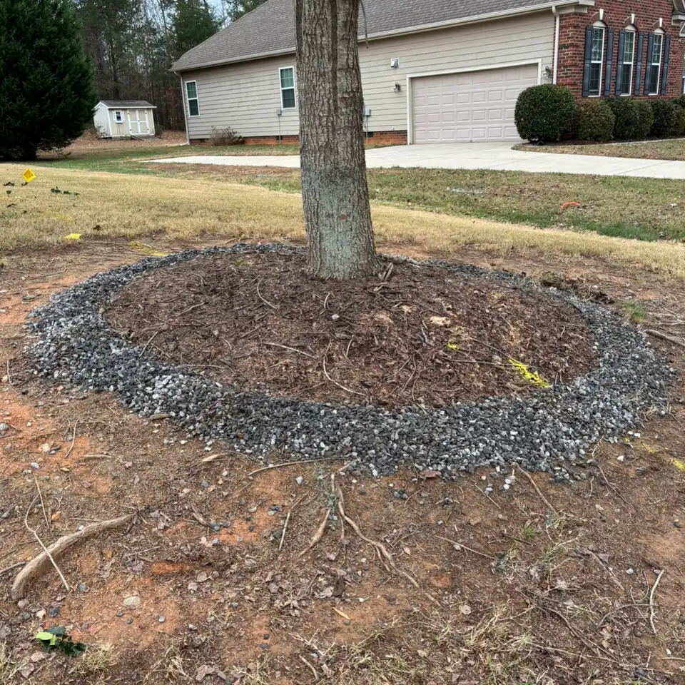 A ring of crushed stone laid on the ground around a tree as the base for a block ring