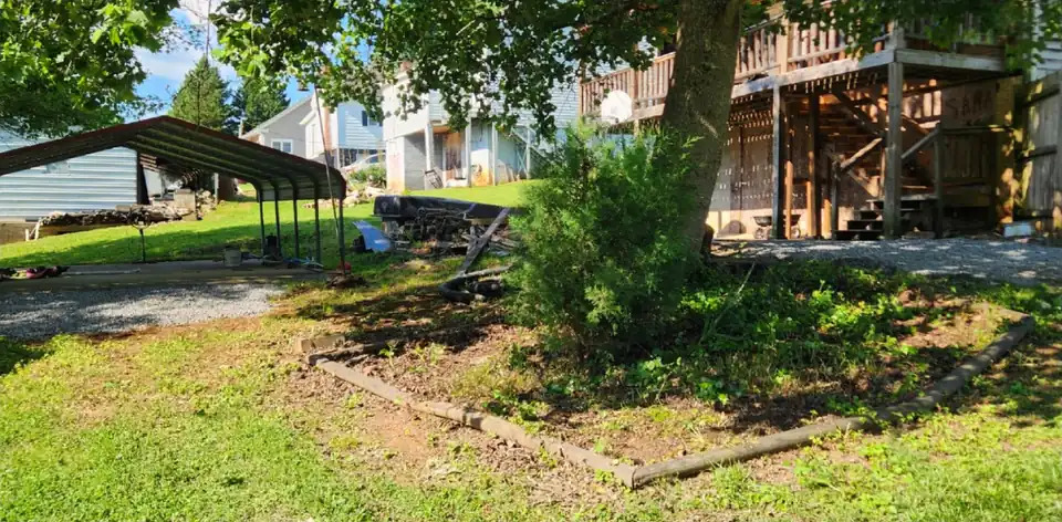 After: overgrown corner cleared under a tree